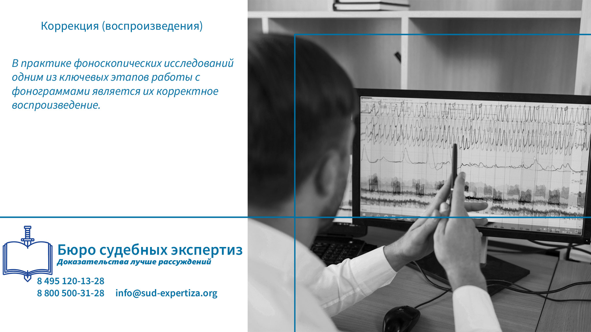 Коррекция (воспроизведения). Что является предметом товароведческой экспертизы?